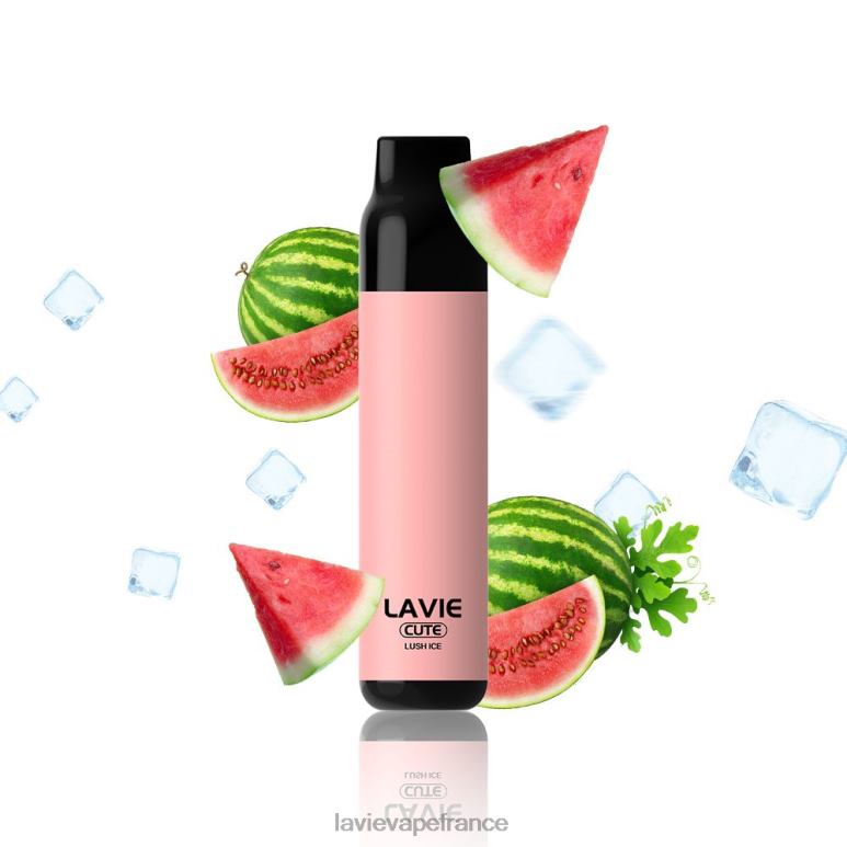 LAVIE BAR 3000 bouffées glace luxuriante R6JZB285 - Lavie Vape Prix