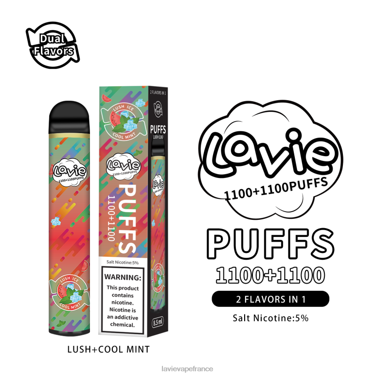 LAVIE BAR Switch 2200 bouffées menthe luxuriante/fraîche R6JZB294 - Lavie Vape Avis