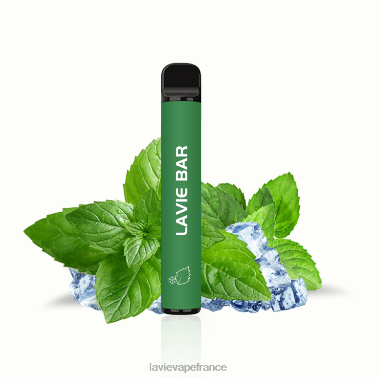 menthe fraîche