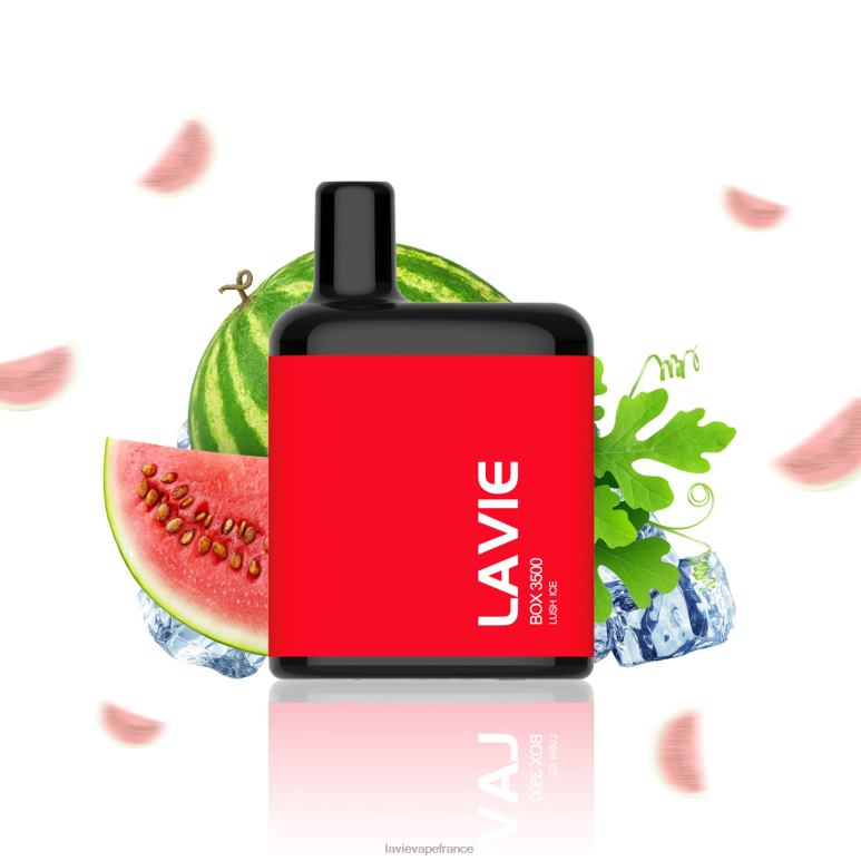 LAVIE BOX 3500 bouffées glace luxuriante R6JZB211 - Lavie Vape Price