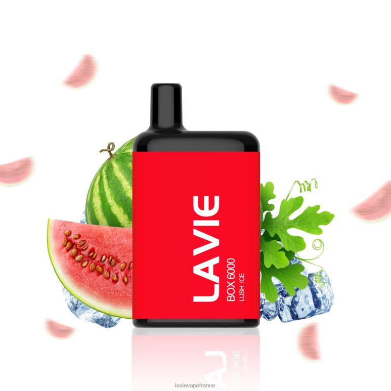LAVIE BOX 6000 bouffées glace luxuriante R6JZB199 - Lavie Vape Magasin