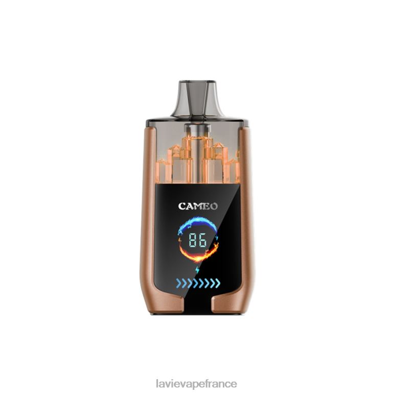 LAVIE CAMEO 30000 bouffées glace au café R6JZB18 - Lavie Vape Reddit