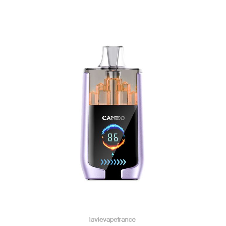 LAVIE CAMEO 30000 bouffées glace aux raisins R6JZB16 - Lavie Puffs