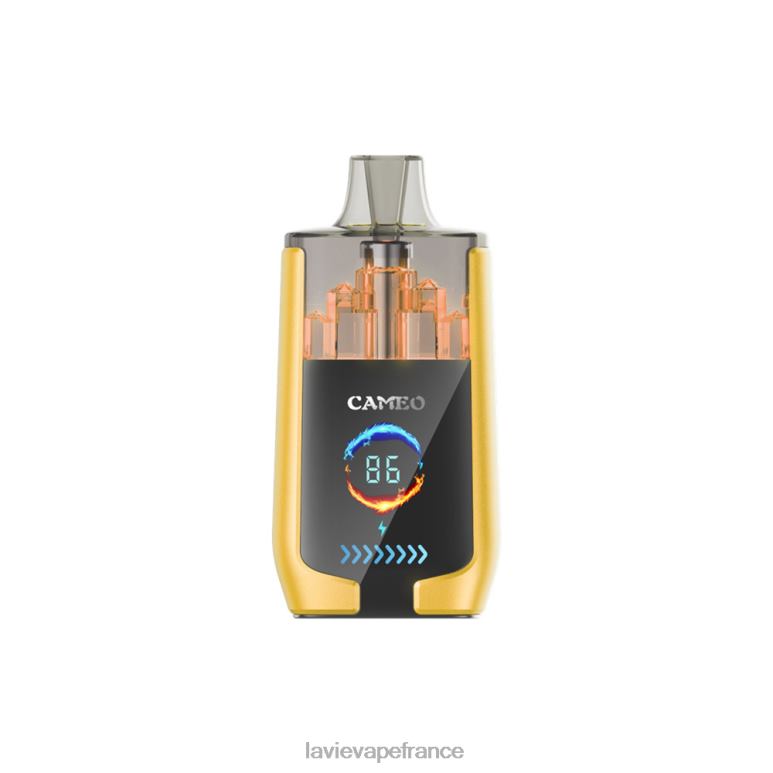 LAVIE CAMEO 30000 bouffées glace à la mangue R6JZB21 - Lavie Vape Prix