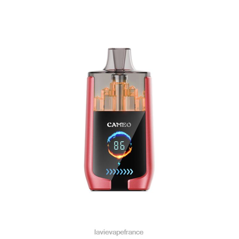 LAVIE CAMEO 30000 bouffées glace à la pastèque R6JZB14 - Lavie Vape Avis