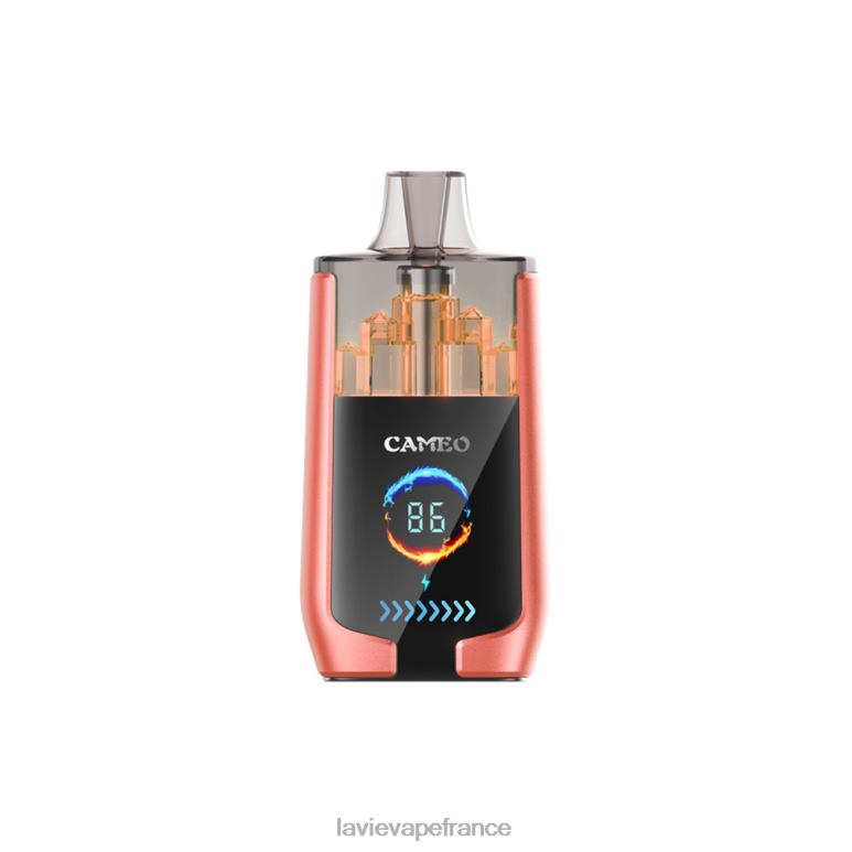 LAVIE CAMEO 30000 bouffées pastèque fraise R6JZB24 - Lavie Puffs