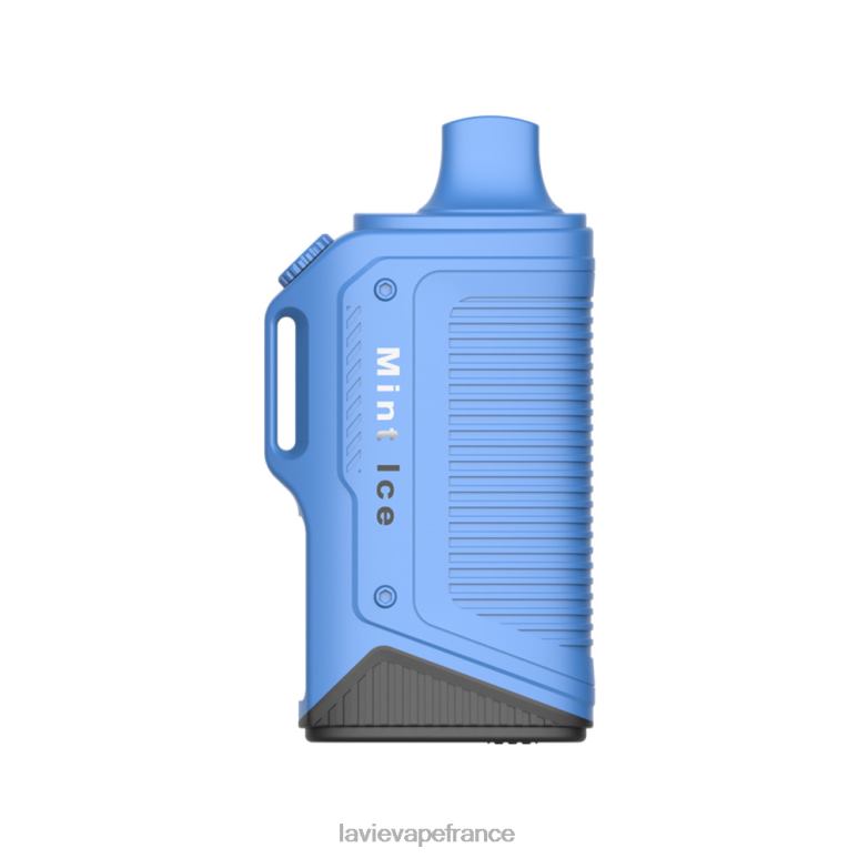 LAVIE Energy Box 15000 bouffées glace à la menthe R6JZB72 - Lavie Puffs