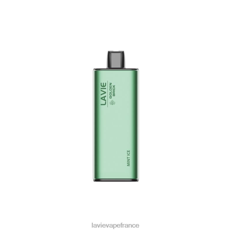 LAVIE GOLDEN BRICK 10000 bouffées glace à la menthe R6JZB62 - Lavie Vape Avis