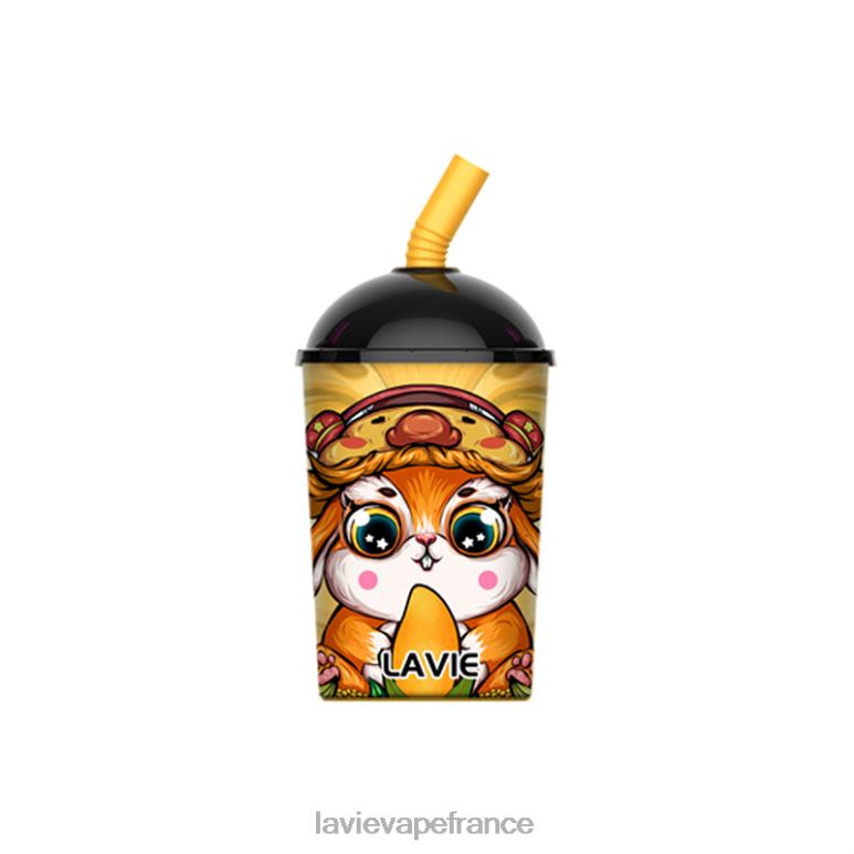 LAVIE Max Cup 8000 bouffées glace à la mangue R6JZB262 - Lavie Vape Avis