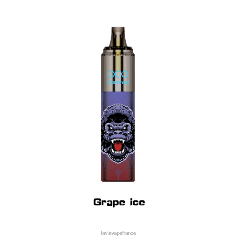 LAVIE OCO carnaval 10000 bouffées glace aux raisins R6JZB350 - Lavie Vape Avis
