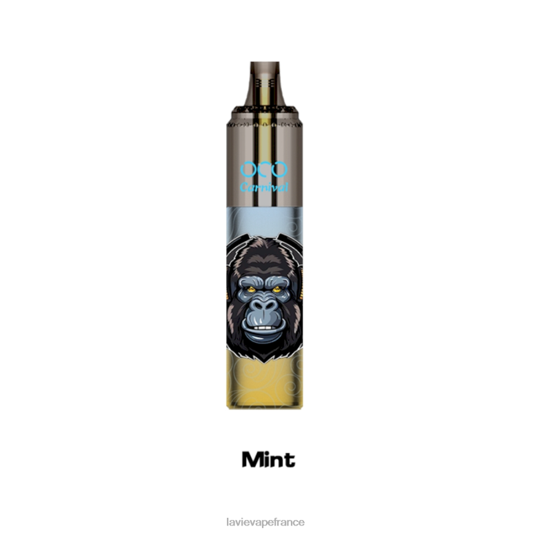 LAVIE OCO carnaval 10000 bouffées menthe R6JZB354 - Lavie Vape Reddit