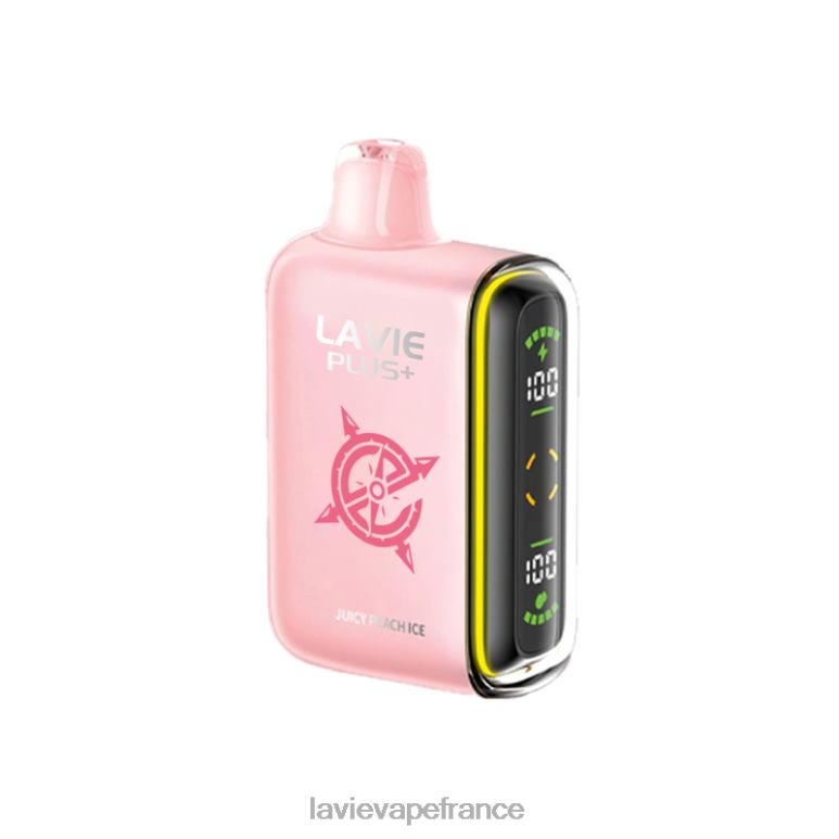 LAVIE PLUS 15000 bouffées glace à la pêche juteuse R6JZB99 - Lavie Vape Price