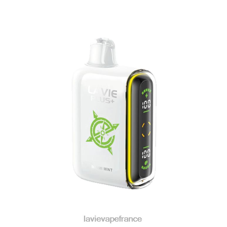 LAVIE PLUS 15000 bouffées menthe de Miami R6JZB98 - Lavie Vape Reddit