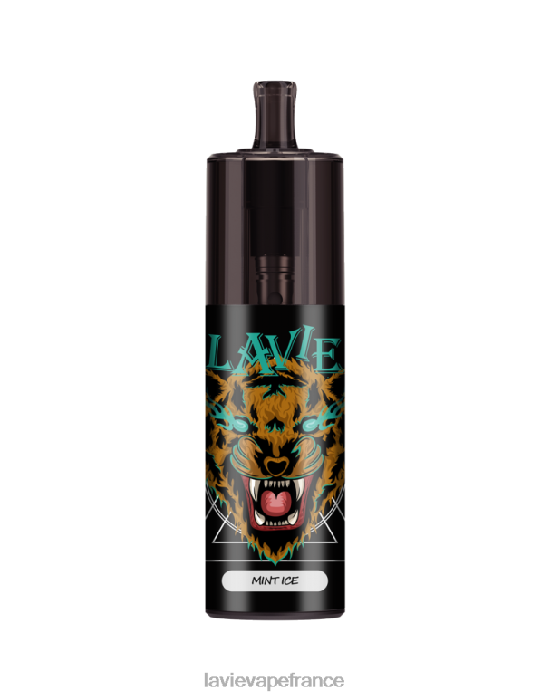 LAVIE COLOUR BAR Contrôle du débit d'air 10 000 bouffées glace à la menthe R6JZB335 - Lavie Vape Magasin