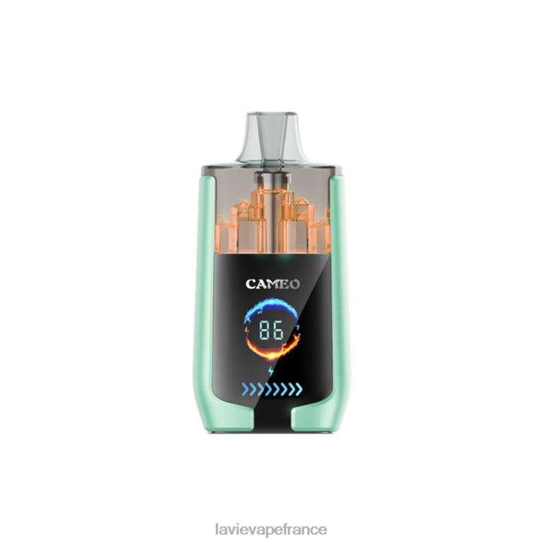 LAVIE CAMEO 30000 bouffées double pomme R6JZB20 - Lavie Vape Review