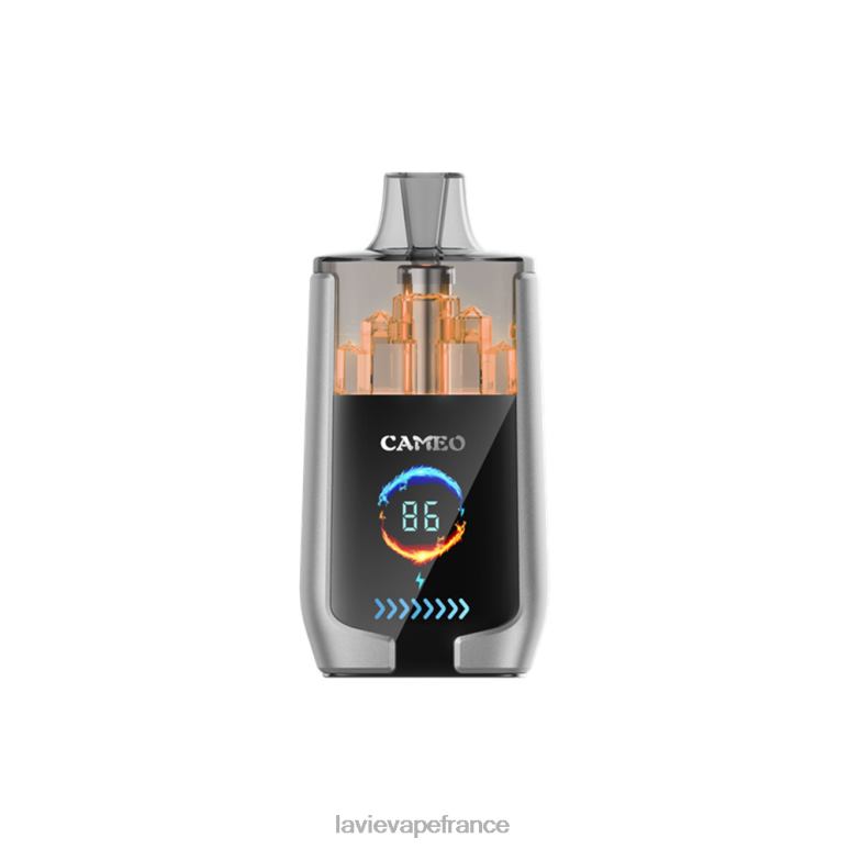 LAVIE CAMEO 30000 bouffées glace aux myrtilles R6JZB15 - Lavie Vape Magasin